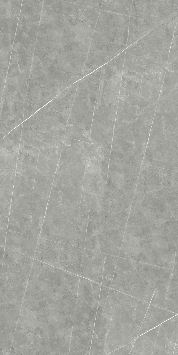 Elegant Gray · GP-008 — גרניט פורצלן בגימור מט