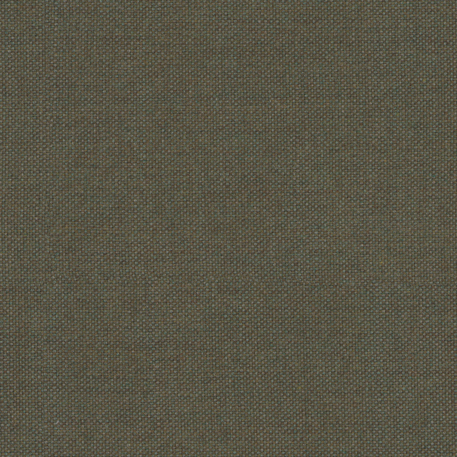 Linen Moss · E109 — ירוק אזוב