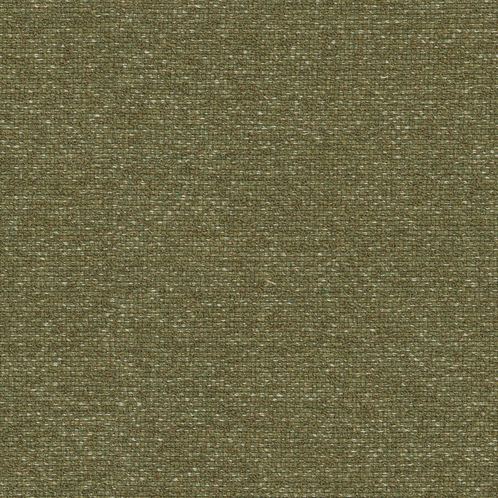 Naram Verdant · F88 — ירוק זית